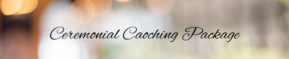 Ceremonial Coaching header image