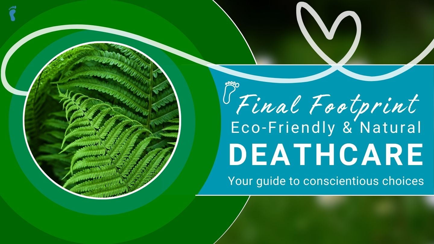 Final Footprint Slide 1