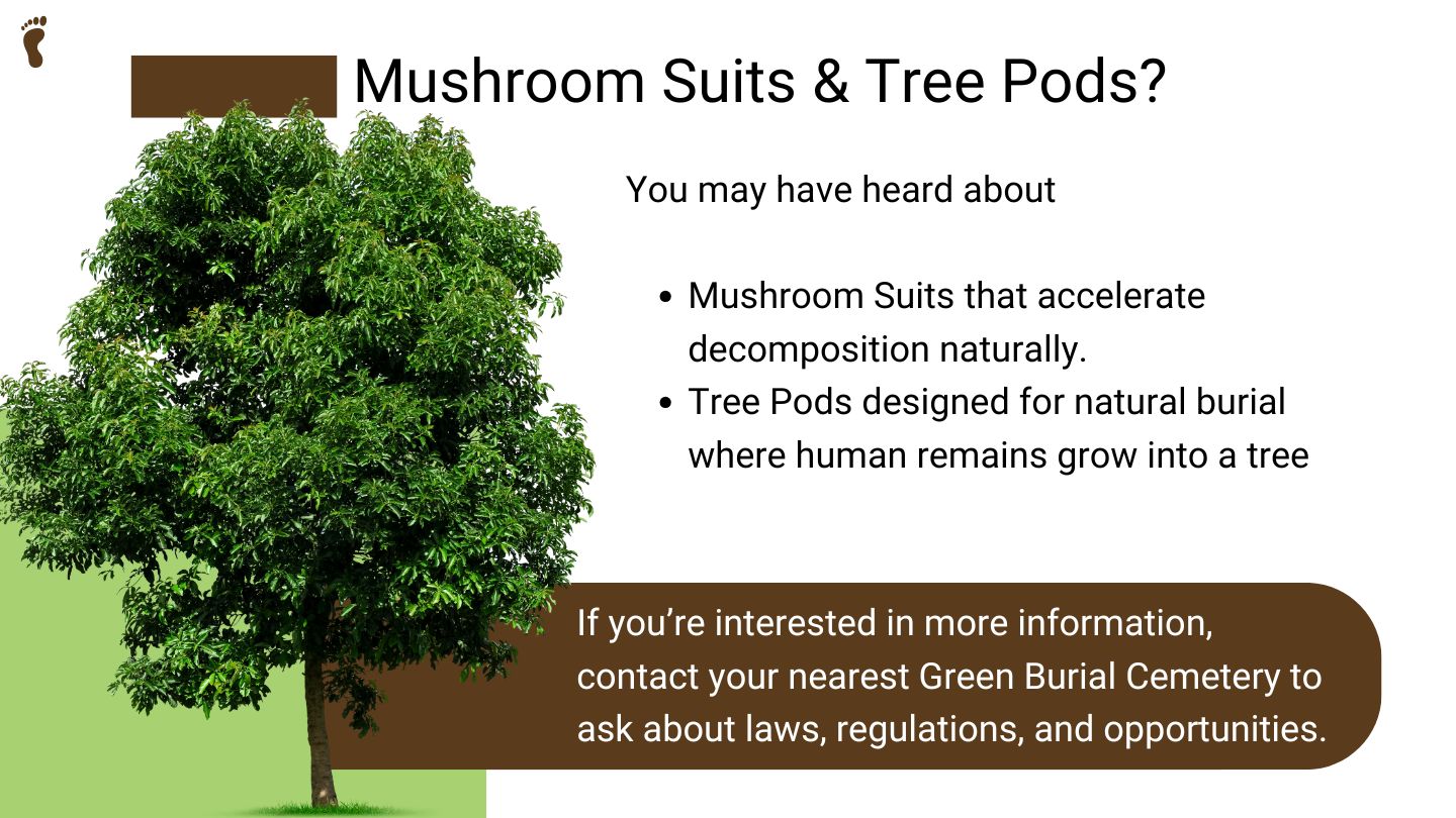 Final Footprint Slide 15