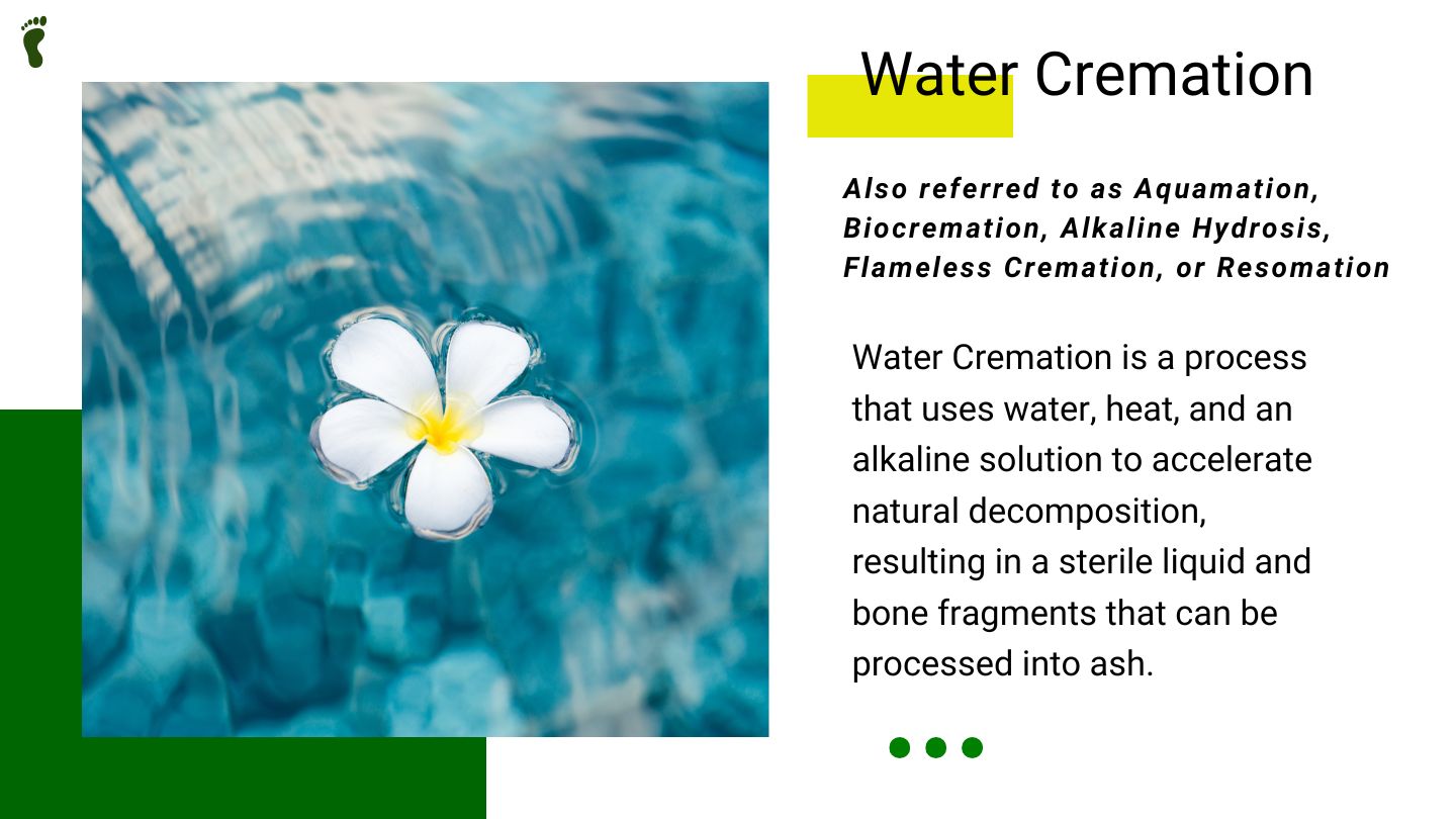 Final Footprint Slide 23